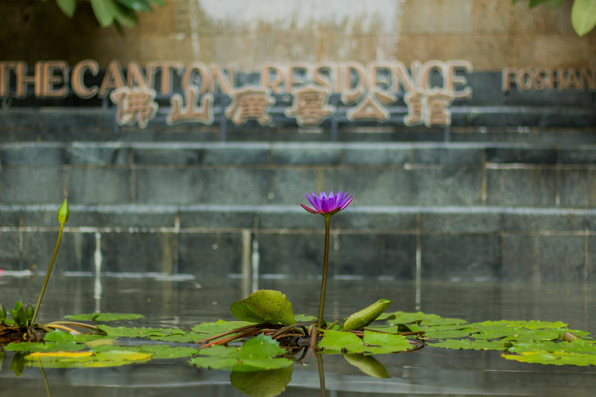 The Canton Residence Foshan Zewnętrze zdjęcie